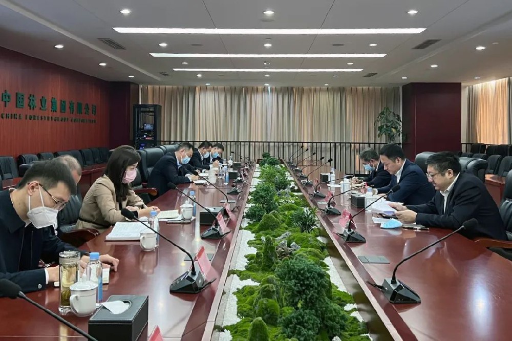 中林集團(tuán)召開木本油料工作組啟動(dòng)會(huì)