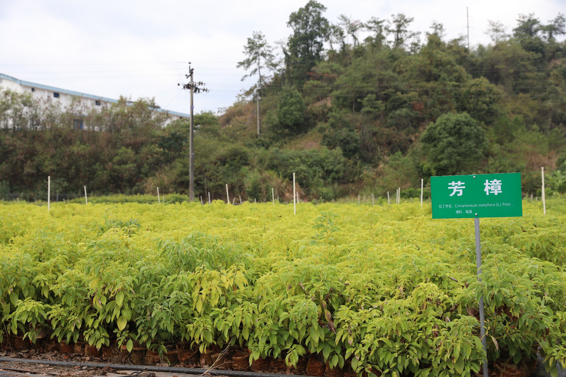 1669272900128823.png 微信圖片_20221212152523.jpg