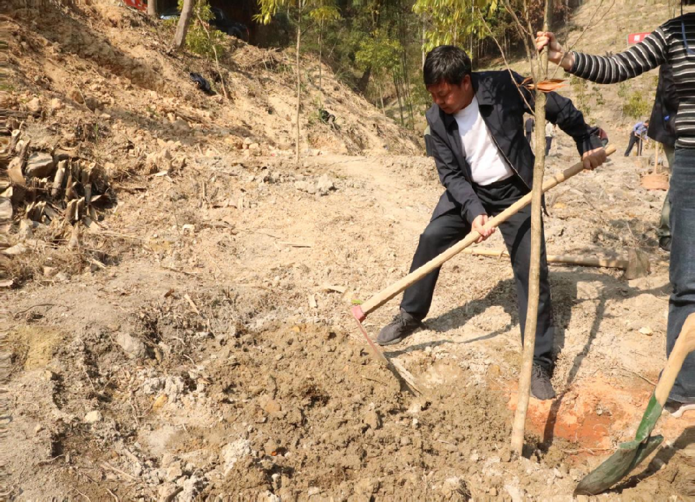 春暖三月學(xué)雷鋒 植樹增綠在行動(dòng)