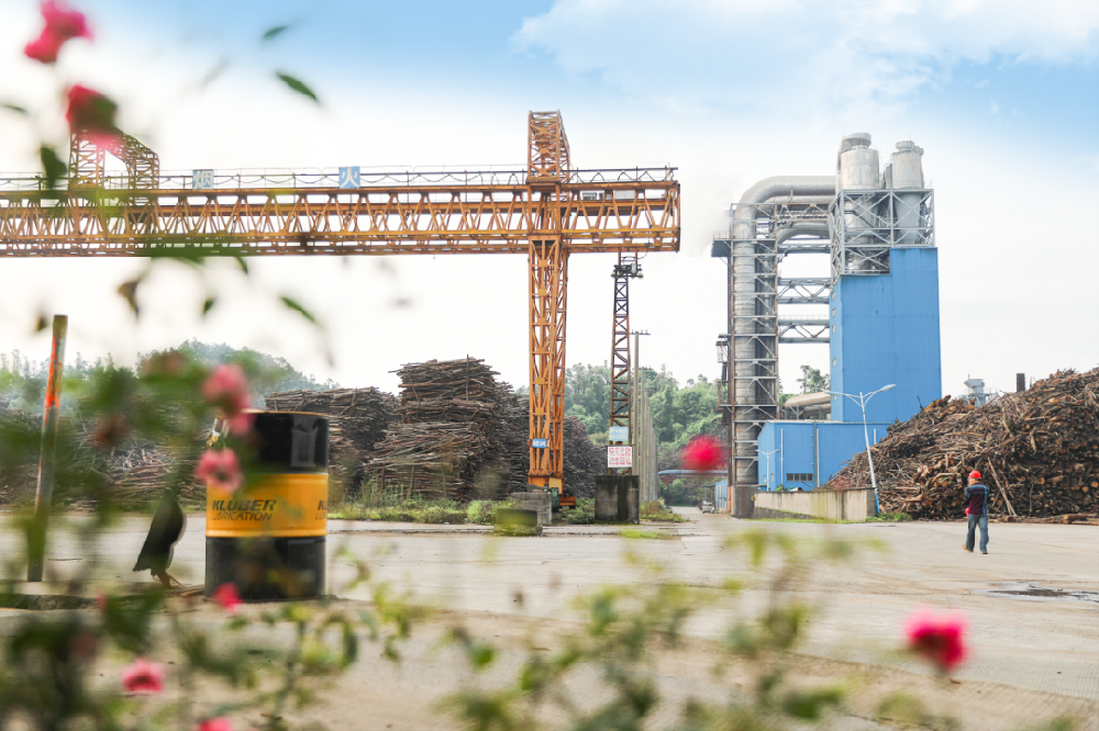 喜報(bào)！永安林業(yè)“春日美景”圖榮登國務(wù)院國資委公眾號(hào)