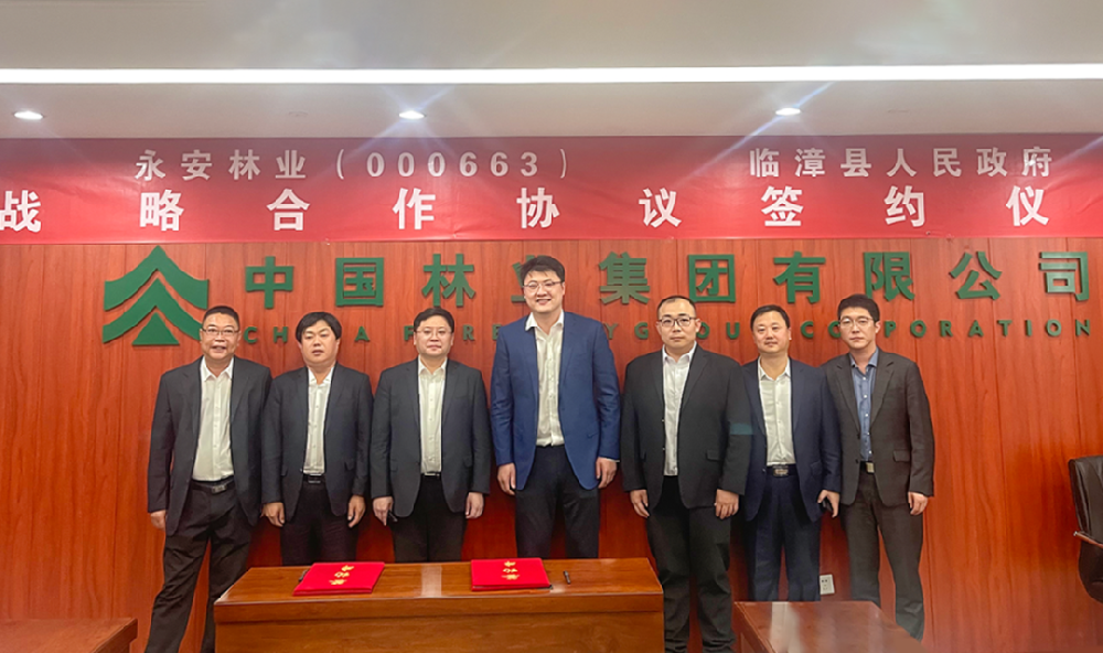 永安林業(yè)與臨漳縣人民政府簽署戰(zhàn)略合作協(xié)議