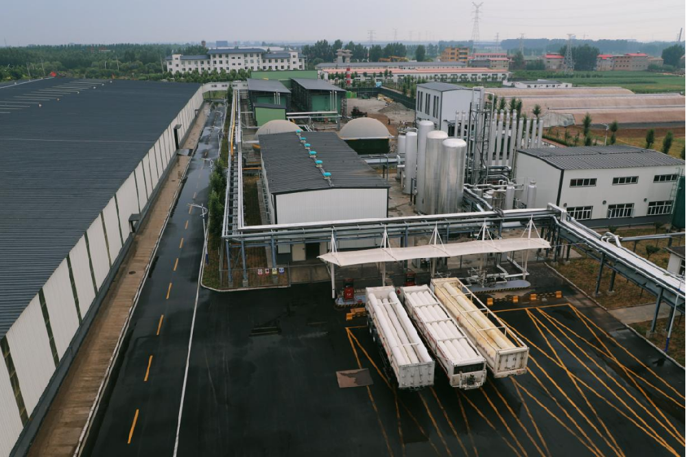 在永安林業(yè)的經(jīng)營板塊挖呀挖呀挖，種轉(zhuǎn)型的種子，開高質(zhì)量發(fā)展的花