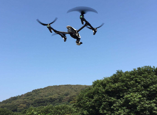 好家伙，林還能這么“管”：中林集團(tuán)科技賦能智慧林業(yè)監(jiān)管