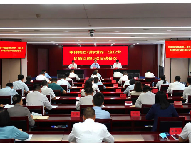 中林集團(tuán)召開對標(biāo)世界一流企業(yè)價(jià)值創(chuàng)造行動(dòng)啟動(dòng)會(huì)議