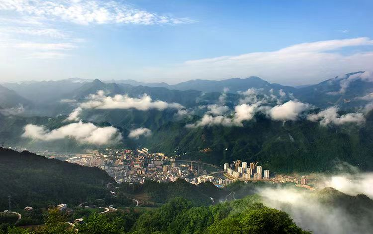 中林集團：把主題教育成果轉(zhuǎn)化為助推美麗中國建設(shè)的生動實踐