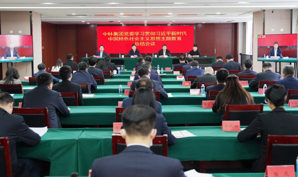 中林集團(tuán)黨委召開學(xué)習(xí)貫徹習(xí)近平新時代中國特色社會主義思想主題教育總結(jié)會議