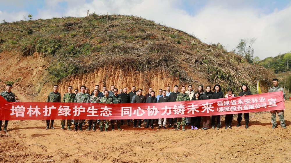 植此綠美 共樹未來 | 永安林業(yè)開展2024年義務植樹活動