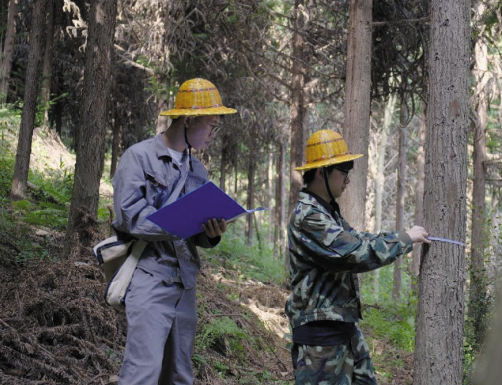 “五一”國際勞動節(jié) | 向他們致敬！