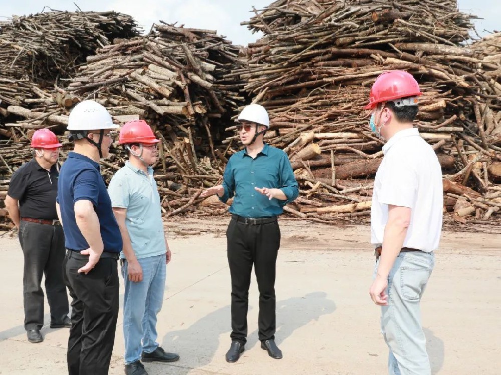 呂錦程到永安林業(yè)人造板廠、永林藍(lán)豹家居開展節(jié)前安全生產(chǎn)檢查