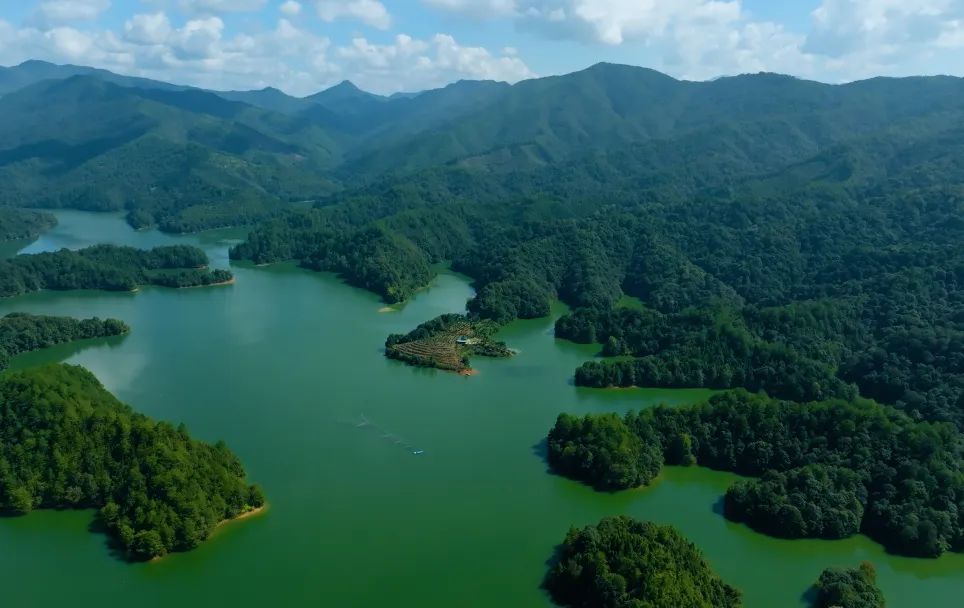 只此青綠，共繪生態(tài)美|永安林業(yè)發(fā)布首份ESG報告！