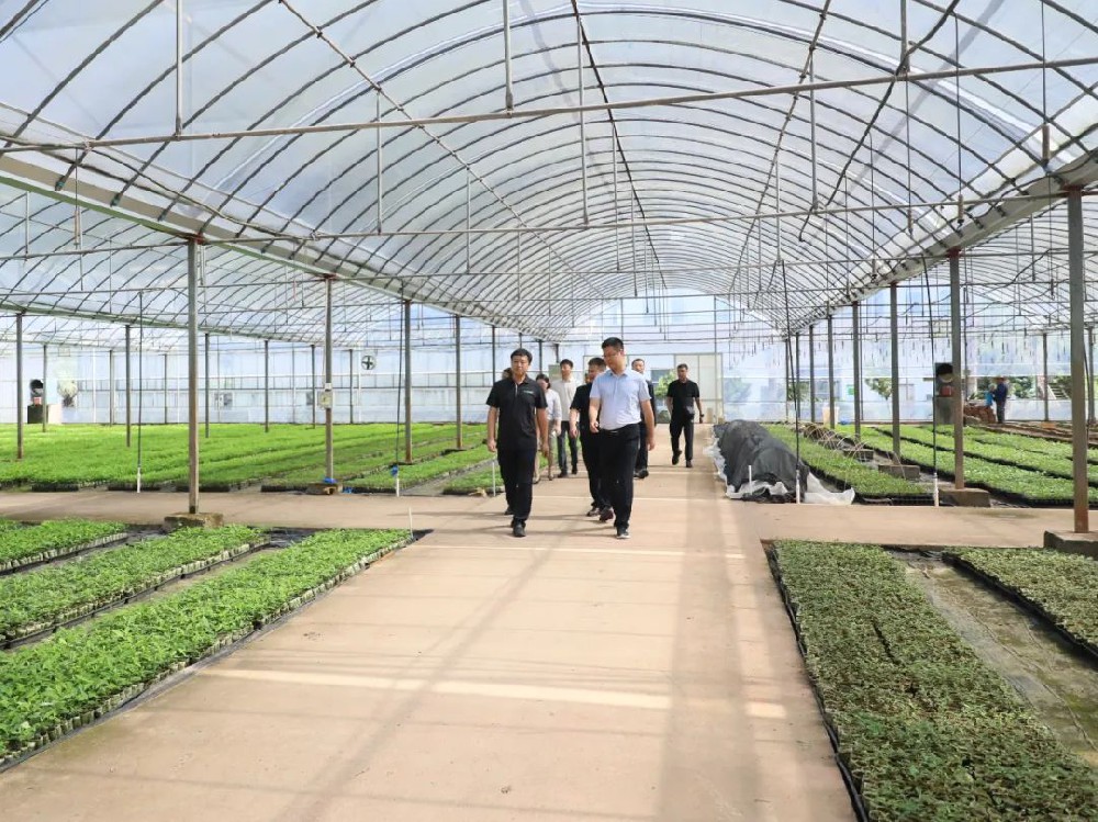 貴州省從江縣委常委、副縣長李榮祥一行蒞臨永安林業(yè)考察交流