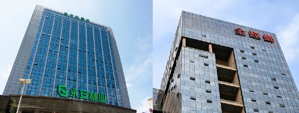 永林藍豹 | 強勢入駐上市公司-金螳螂建筑裝飾，攜手共創(chuàng)新輝煌！