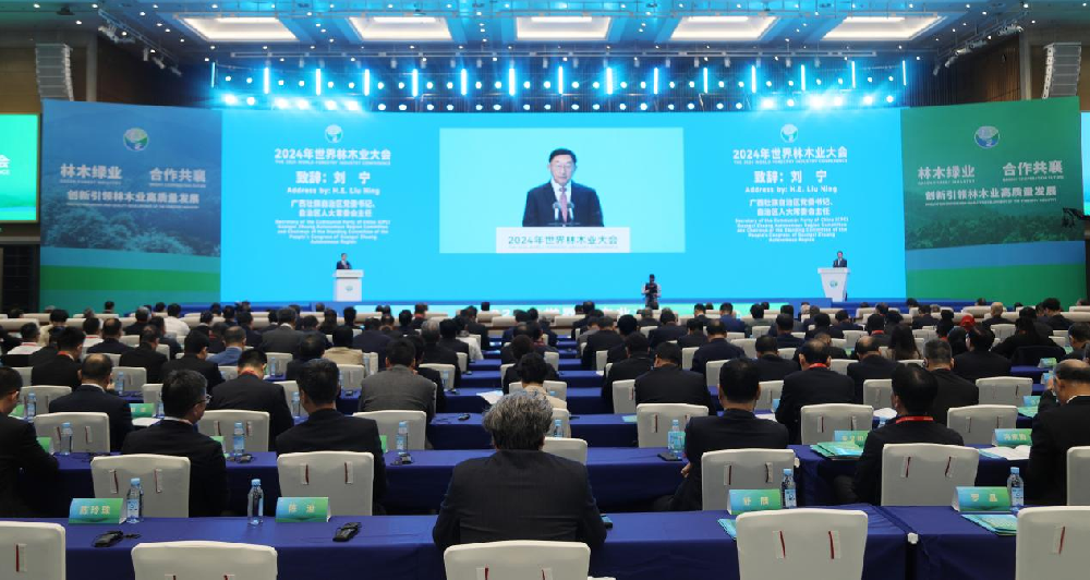 中林集團(tuán)攜多個林木產(chǎn)品亮相2024年世界林木業(yè)大會