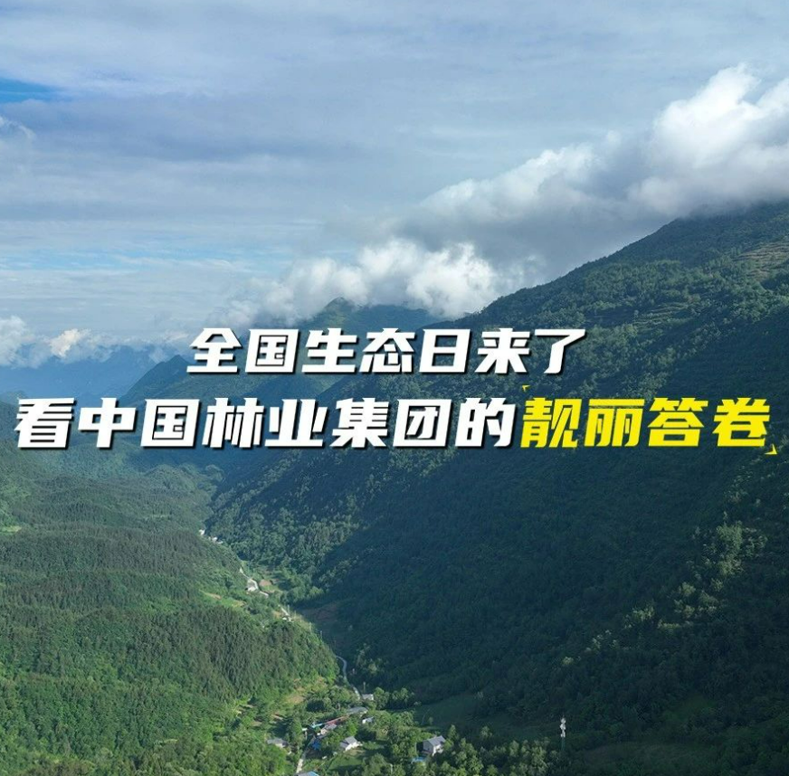 全國生態(tài)日來了！看中國林業(yè)集團的靚麗答卷
