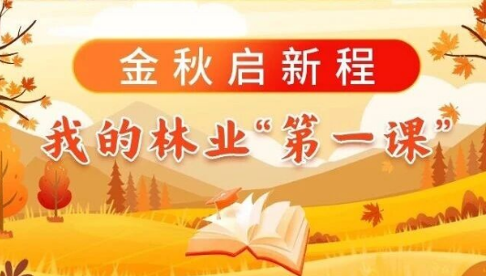 金秋啟新程，我的林業(yè)“第一課”（二）