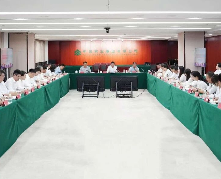 青春建功 實(shí)踐礪能——中國(guó)林業(yè)集團(tuán)召開總部青年干部基層實(shí)踐活動(dòng)成果交流會(huì)