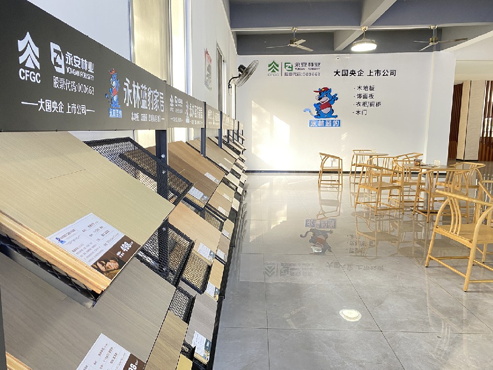 【子企業(yè)動(dòng)態(tài)】永林藍(lán)豹“高速”啟航，品牌魅力再升級(jí)