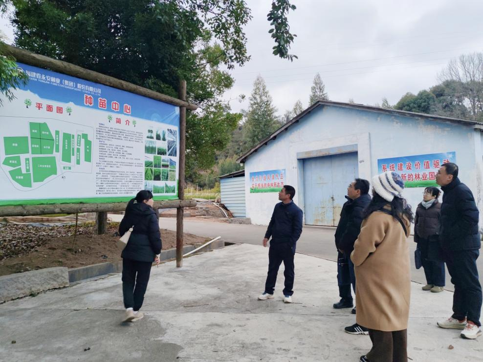 【子企業(yè)動(dòng)態(tài)】三明市林業(yè)局赴種苗中心開展工作指導(dǎo)