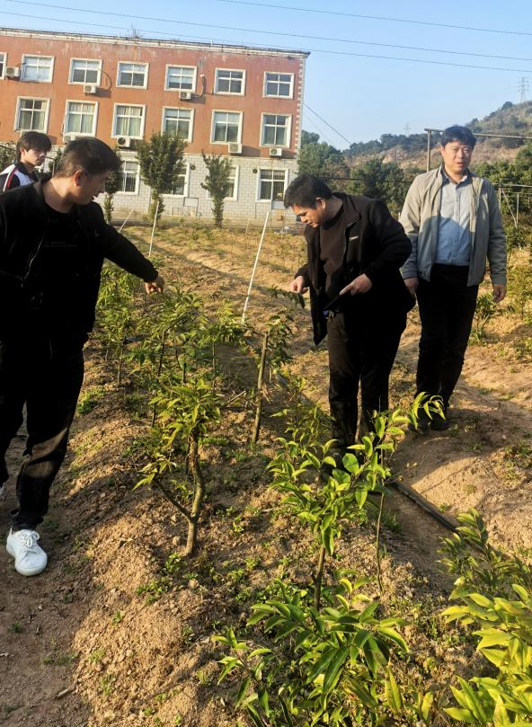 【子企業(yè)動態(tài)】省林科院李寶福教授蒞臨種苗中心指導