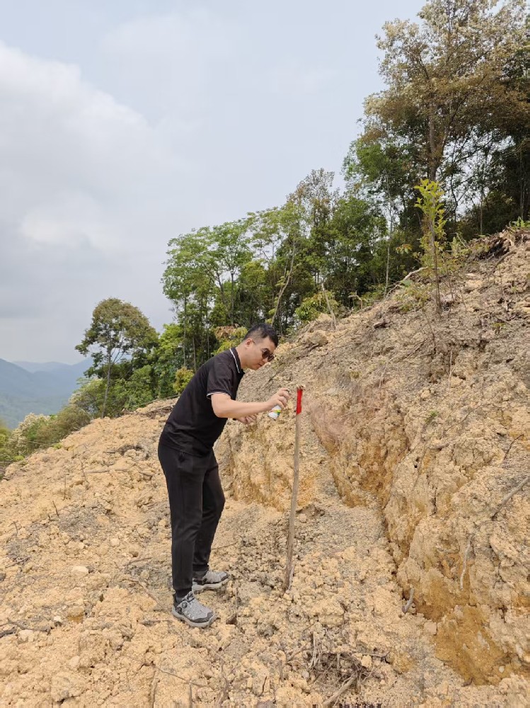 【子企業(yè)動態(tài)】科技興林，種苗先行——種苗中心在漳開展桉樹良種篩選試驗