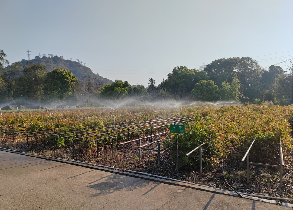 春風浩蕩滿目新 育苗添綠正當時——永安林業(yè)一線播綠紀實